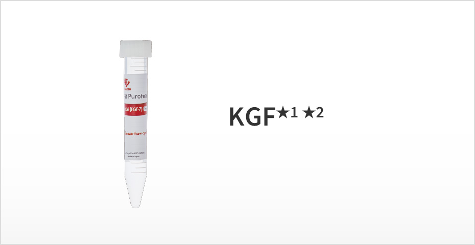 KGF★2