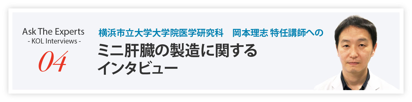 横浜市立大学大学院医学研究科 岡本理志 特任講師へのミニ肝臓の製造に関するインタビュー