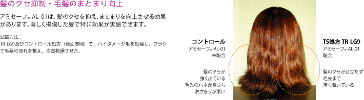 髪のクセ抑制・毛髪のまとまり向上