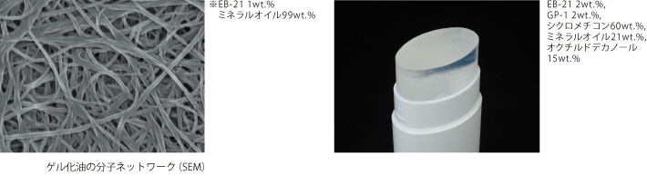 ゲル化油の分子ネットワーク（SEM）