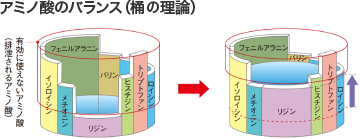 アミノ酸のバランス（桶の理論）