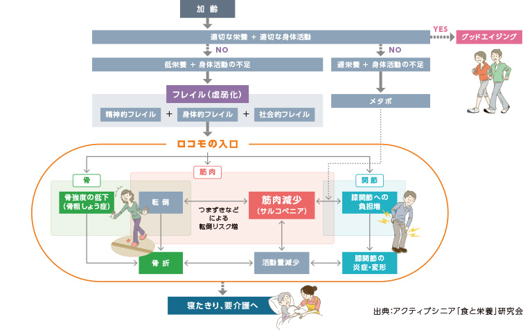 ロコモティブシンドローム